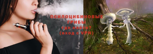 гашик Белокуриха