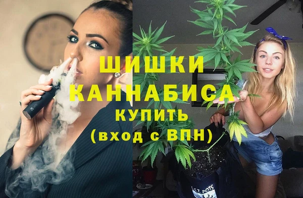 гашик Белокуриха