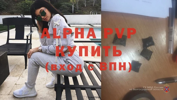 гашик Белокуриха